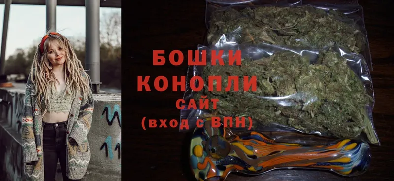 Бошки Шишки SATIVA & INDICA  купить наркотики цена  сайты даркнета как зайти  Уяр 